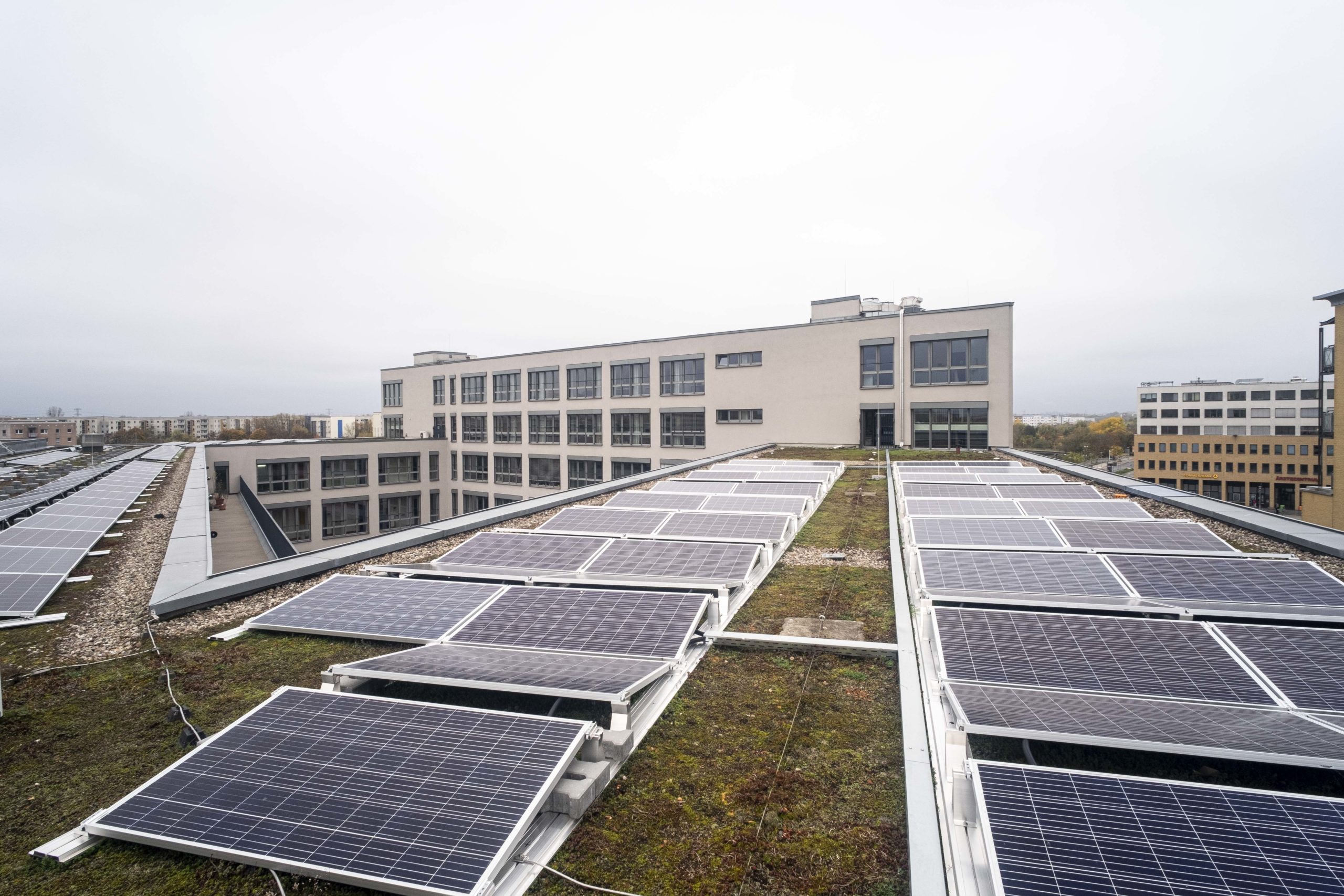 Photovoltaikanlage auf dem Gründach der Alice Salomon Hochschule