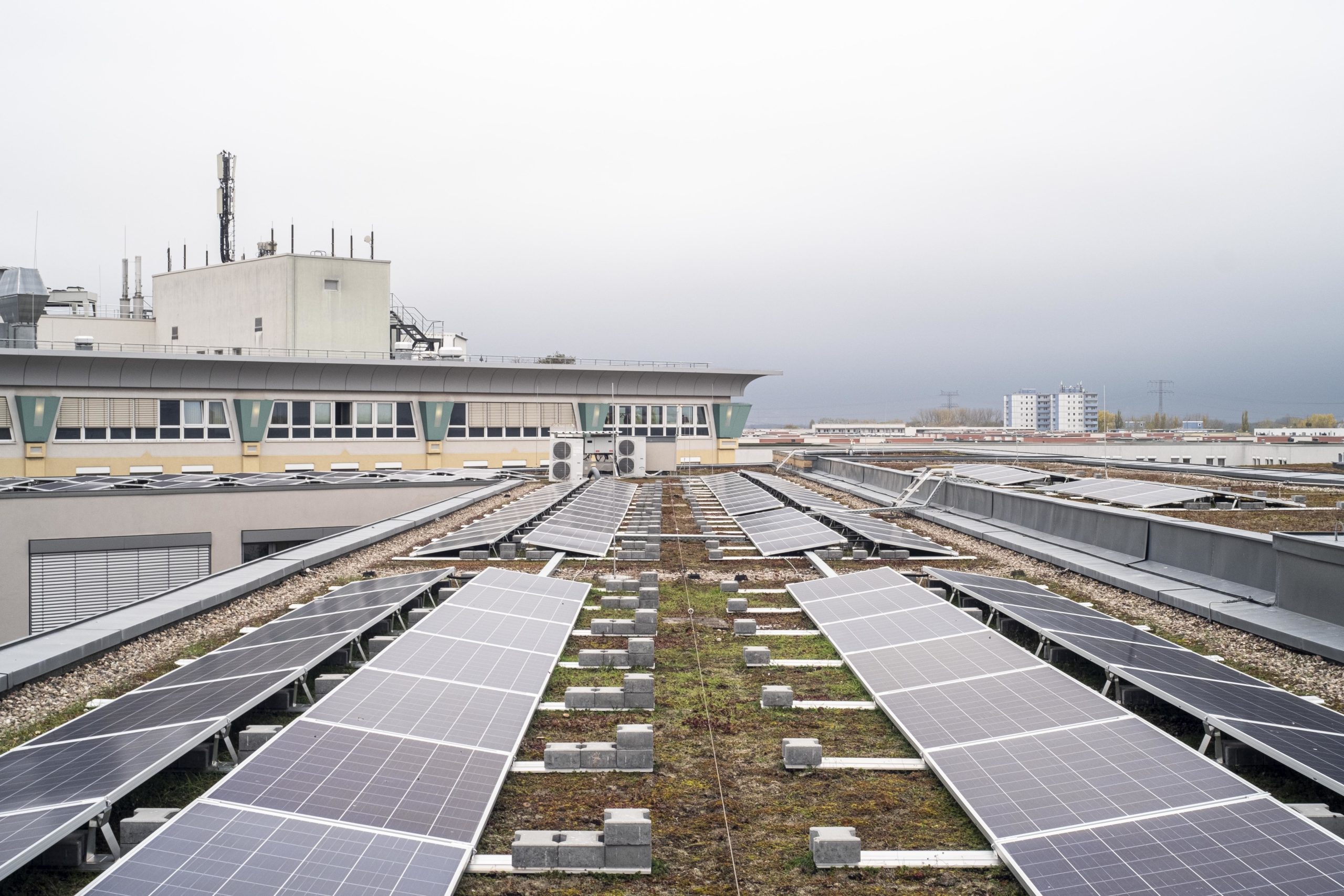 Gründach mit Solarmodulen