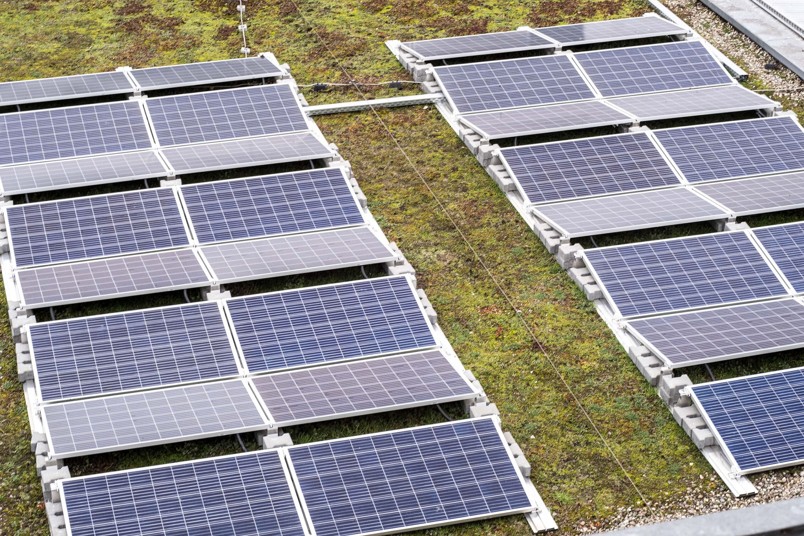 Solarmodule auf einem Gründach