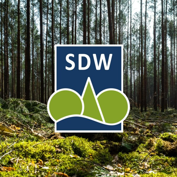 Wald mit Logo der Schutzgemeinschaft Deutscher Wald