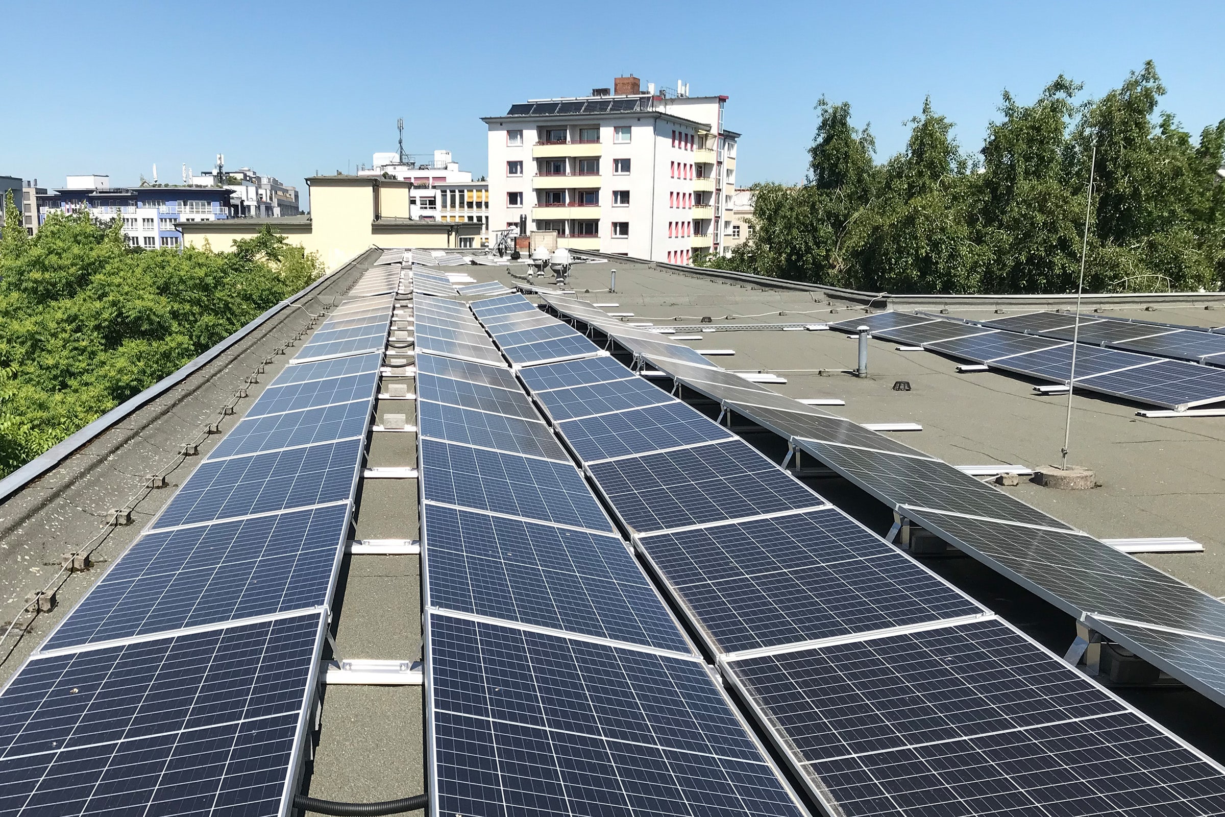 Solaranlage der Berliner Stadtwerke auf der Hemmingway-Oberschule in Mitte