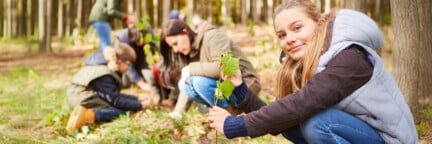 Mädchen pflanzt einen Setzling im Wald