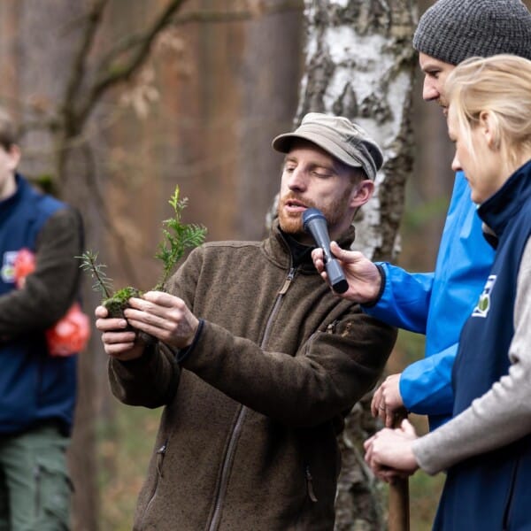Thomas Schulz, Förster der Schutzgemeinschaft Deutscher Wald Landesverband Brandenburg e. V., zeigt Stadtwerke-Geschäftsführer Chris Werner und SDW-Geschäftsführerin Dr. Sabine Buder einen Setzling und spricht über das Aufforsten.