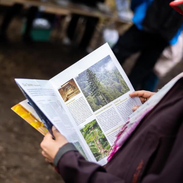 Ein Mensch liest eine Broschüre der Schutzgemeinschaft Deutscher Wald während einer Pflanzaktion im Stadtwerke-Wald.